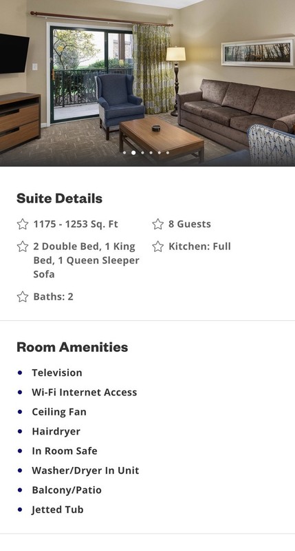 WYNDHAM Smoky Mountains 2 Bdrm DELUXE 4 Nights RENTAL 8/10 - 8/14 2026 Tennessee gallery
