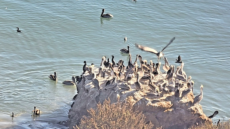 California Central Coast So. Facing Hilton San Luis Bay Inn - Avila Beach TimeSh gallery