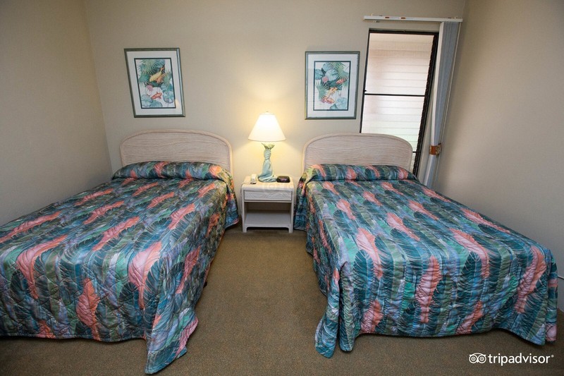 2 Bedroom Condo in Maui for 7 nights on the Ocean Sands of Kahana gallery