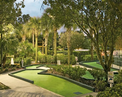 Sheraton Vistana Resort Disney World Universal Studio - 7 Nights gallery