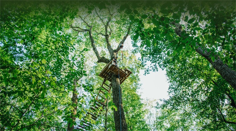 NY-Schenectady, NYzipline 4 pk zipline passes $224 value
