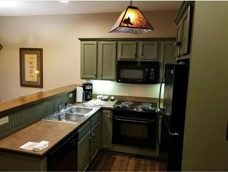 Big Cedar Wilderness 1BR Lodge 8/11–8/14/26 | Sleeps 4 | Prime Summer Time gallery
