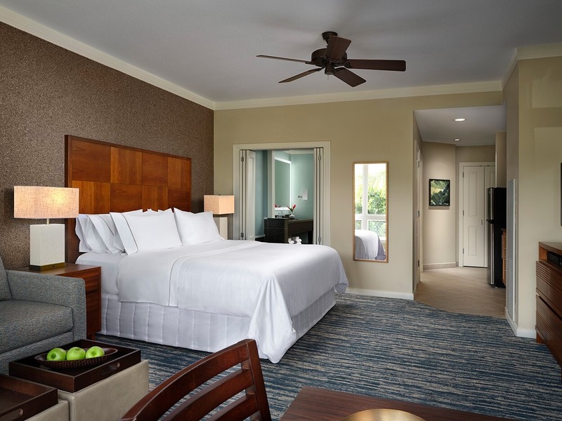 OCEANFRONT! Westin Ka'anapali Ocean Resort Villas South Studio 7 night May 5-12 gallery