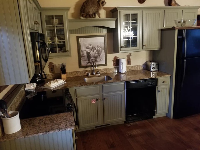 2BR Cabin March 21-26th(6Days/5N)Spring Break Big Cedar Wilderness sleeps up to6 gallery