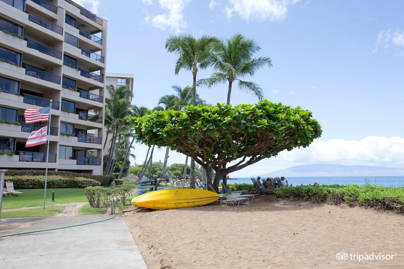 2 Bedroom Condo in Maui for 7 nights on the Ocean Sands of Kahana gallery
