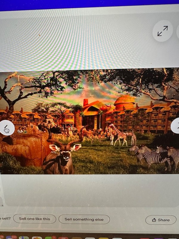 Disney DVC 2 BR Animal Kingdom Villa, Kidani Village, Savana View, 14-19 June gallery