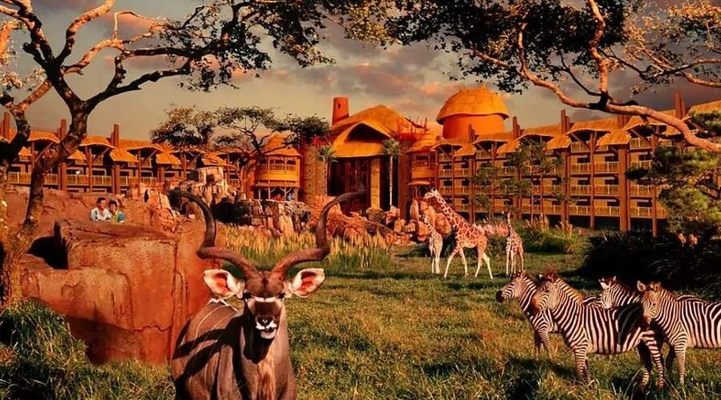 Disney’s Animal Kingdom Villas Jambo House Hotel ANY 5 Night ANY YEAR 1 BR point
