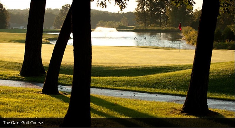 Wisc. Dells 2BR/2BT Townhome 6/29-7/3/25 Sleeps 6. Great Unit. Pools Tennis Golf gallery