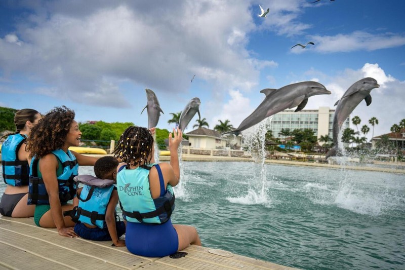 MOON PALACE JAMAICA DIAMOND VIP ELITE ALL INCLUSIVE WEEK BEST DEAL GET $100 BACK gallery