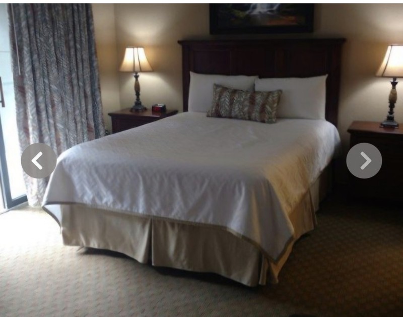 SEPTEMBER 12-19~TREE TOPS RESORT~Gatlingburg Mountains~2BR SLPS 6 gallery