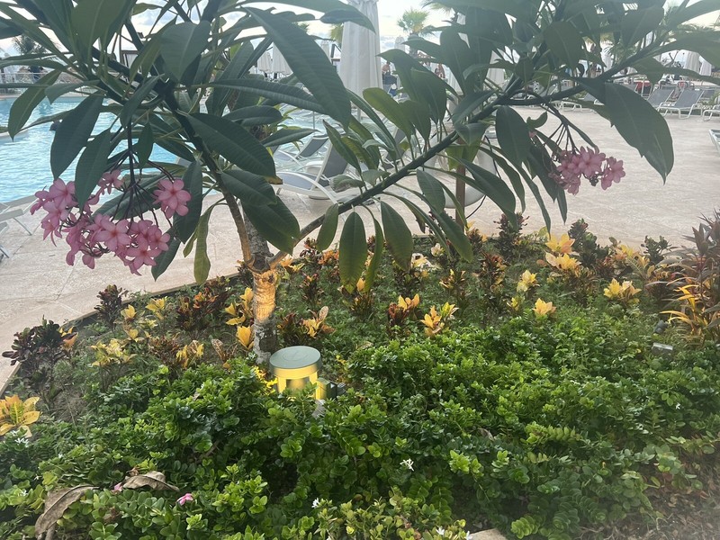 Dreams Riviera Cancun Resort & Spa - 7 Nits - All Inclusive Promo gallery