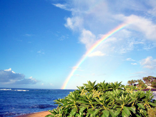 LAWAI BEACH RESORT *2026* SUNNY POIPU * KOLOA * SOUTH SHORE KAUAI gallery