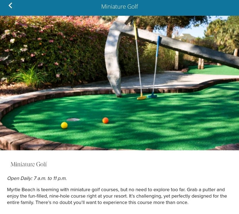 🏖Sheraton Broadway Resort Myrtle Beach 1BR 1BA Condo Dates Available 🌴 gallery
