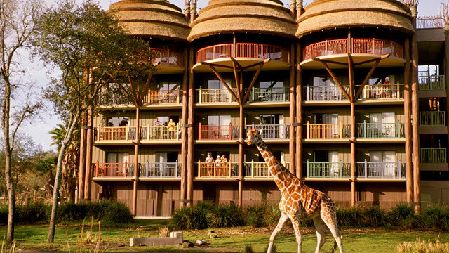 Disney Animal Kingdom Villas Jambo House Hotel ANY 1 Nights ANY YEAR 3 BR point gallery