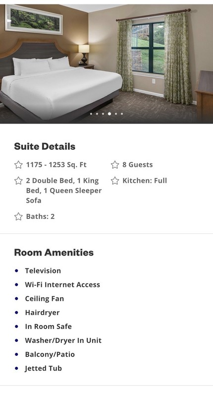 WYNDHAM Smoky Mountains 2 Bdrm DELUXE 4 Nights RENTAL 8/10 - 8/14 2026 Tennessee gallery