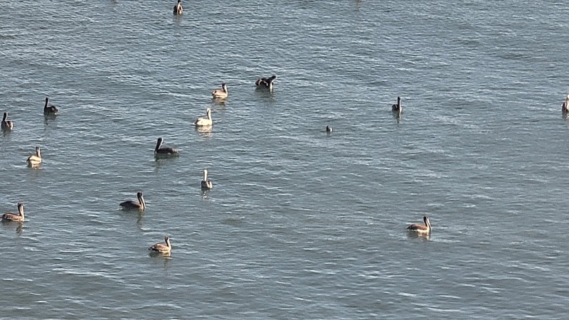 California Central Coast So. Facing Hilton San Luis Bay Inn - Avila Beach TimeSh gallery