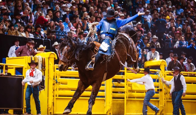 NATIONAL RODEO FINALS—LAS VEGAS. all 12 nights $3,995.00. 3 bedroom
