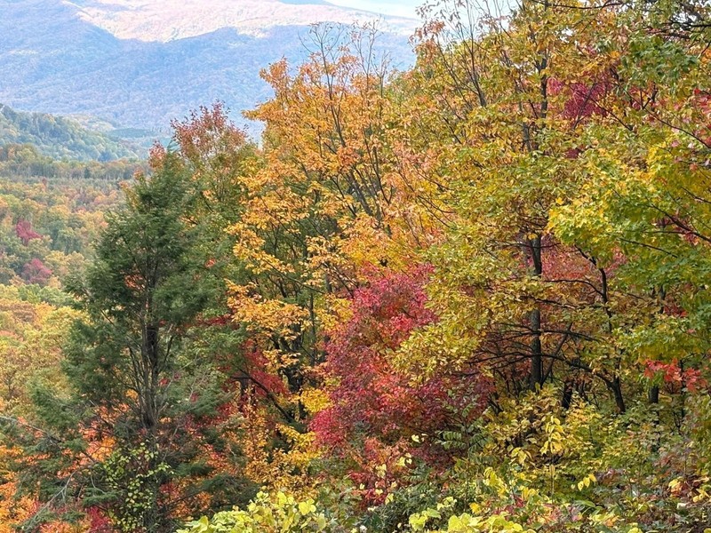 Westgate Smokey Mountain Resort- Gatlinburg TN. 2BR 3-Nights Oct. 18-21, 2026 gallery