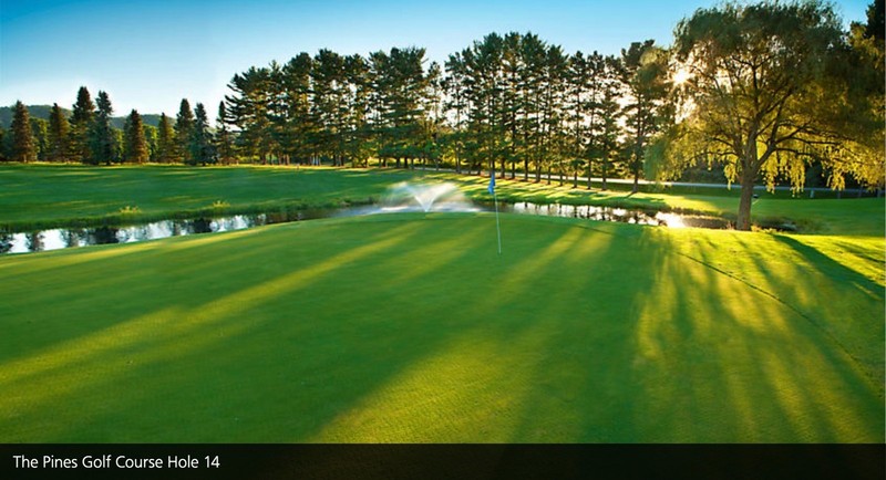 Wisc. Dells 2BR/2BT Townhome 6/29-7/3/25 Sleeps 6. Great Unit. Pools Tennis Golf gallery