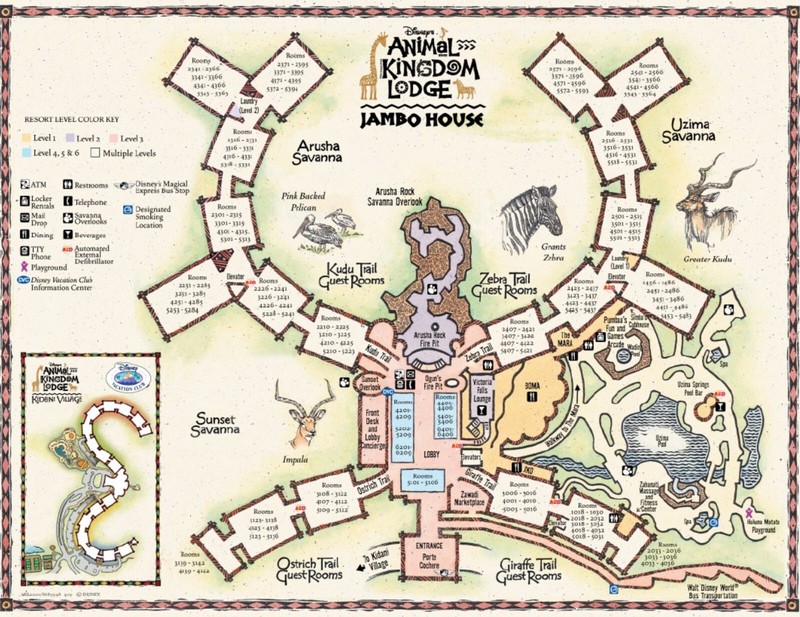 Disney Animal Kingdom Villas Jambo House Hotel ANY 3 Nights ANY YEAR 2 BR point