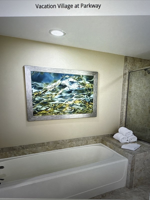 One Week Rental Multiple Dates Available! Vacation Village Parkway Orlando, FL gallery