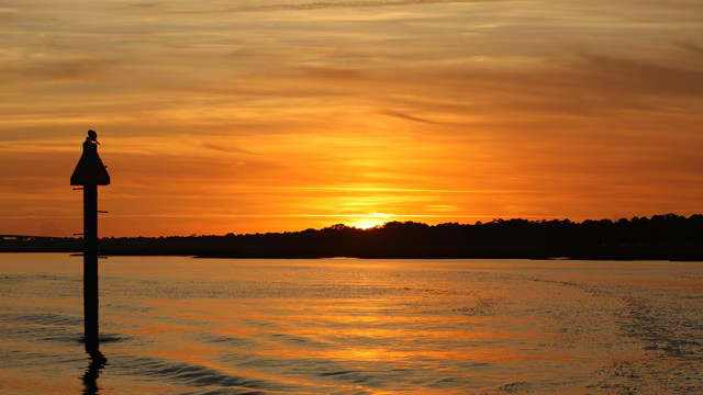 Disney's Hilton Head Island Resort Disney Vacation Club Points Rental gallery