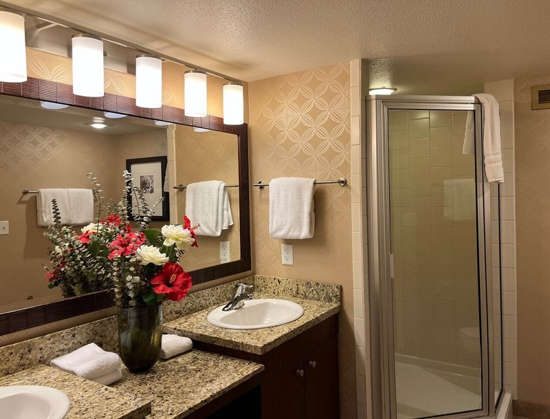 The Grandview at Las Vegas - One Bedroom One Week Nevada Las Vegas Vacation gallery