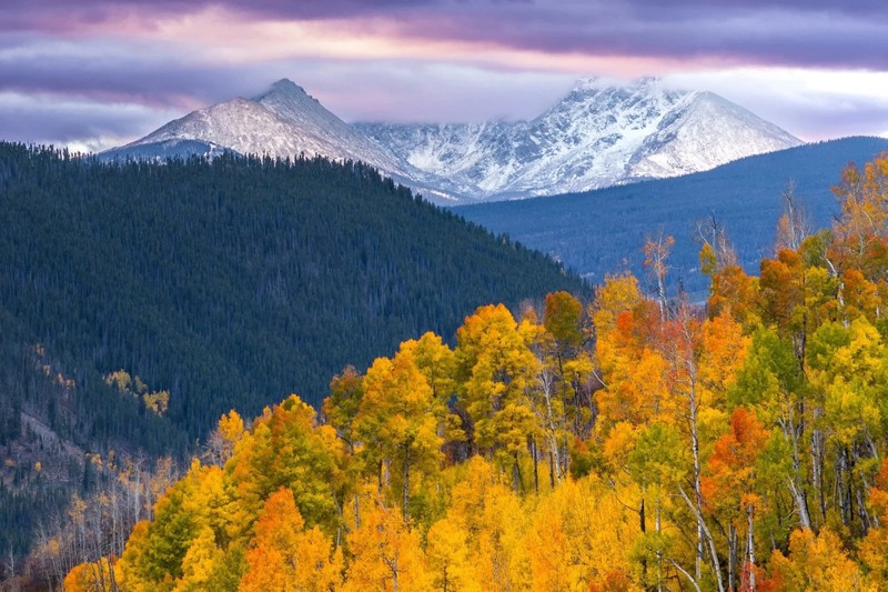 🏔️🍂 Vail Fall Colors Getaway! StreamSide Aspen 1BR Sleeps 4 Oct 19-22 2026