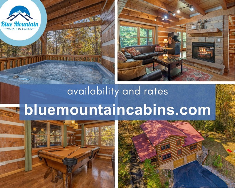TN Smoky Mountains~Vacation Rental Cabin~AUG WK~Slps 8~games~hot tub -INQ RATES! gallery