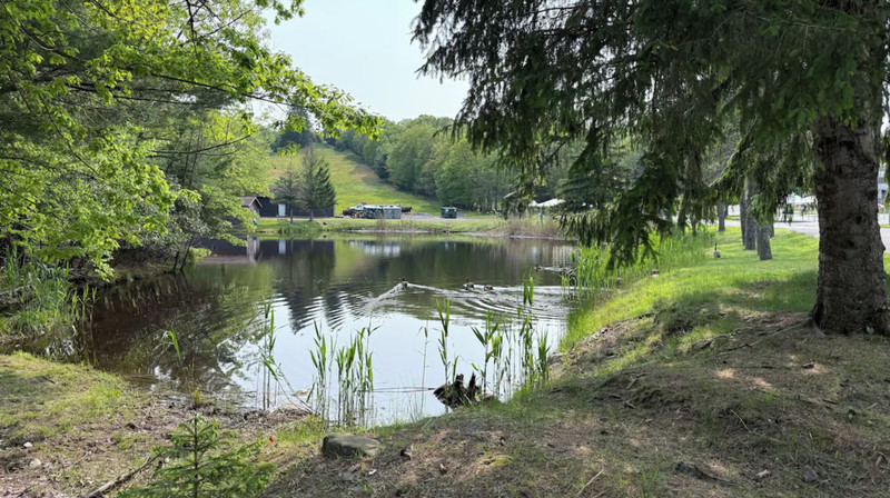 Willowbrook at Lake Harmony ~ PA ~ 1BR/Sleeps 4 ~ 7Nts Weekly Rentals 2026/27 gallery