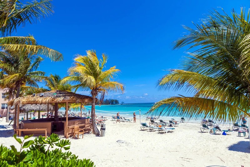 Island Seas Resort, Grand Bahama Island, 7 days,Sleeps 4 or 6, Beachfront Resort gallery
