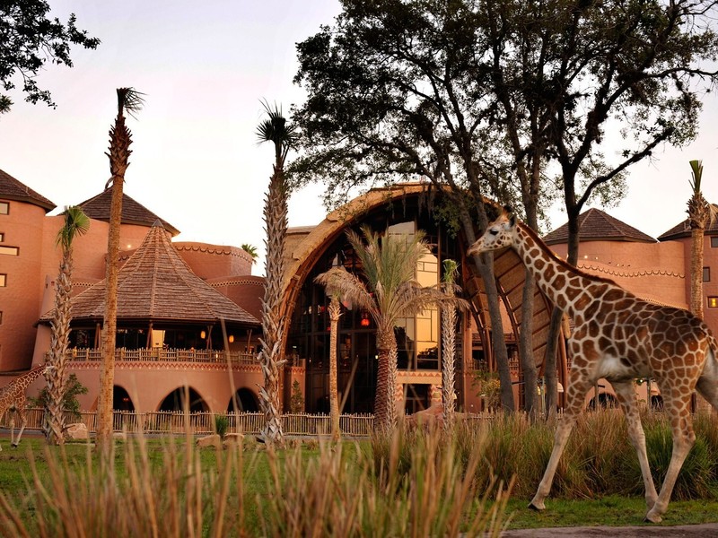 Disney Vacation Club Points Rental gallery