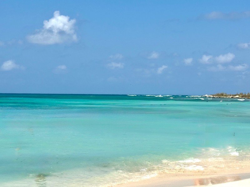 Marriott's Aruba Ocean Club Studio Rental Dates in August 2026! gallery