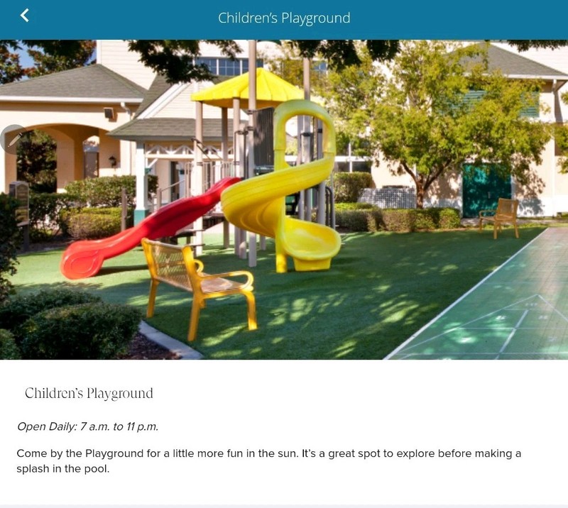 🏖Sheraton Broadway Resort Myrtle Beach 1BR 1BA Condo Dates Available 🌴 gallery